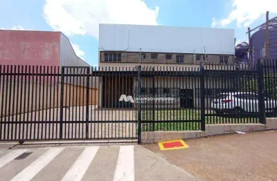 Barracão para alugar, 1700 m² por r$ 41.000,00/mês - jardim são marco - são josé do rio preto/sp