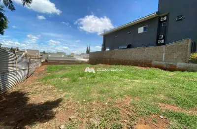 Terreno à venda, 400 m² por r$ 490.000,00 - gaivota i - são josé do rio preto/sp