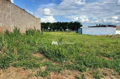 Terreno à venda, 1000 m² por r$ 420.000,00 - loteamento parque dos pássaros - são josé do rio preto/sp