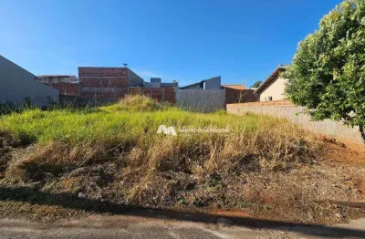 Terreno à venda, 320 m² por r$ 150.000,00 - residencial catelani - bady bassitt/sp