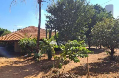 Chácara à venda, 5000 m² por r$ 580.000,00 - loteamento edem leste (zona rural) - são josé do rio preto/sp