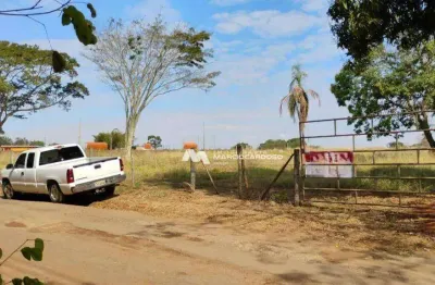 Terreno à venda, 6000 m² por r$ 1.200.000,00 - estância jóckei club - são josé do rio preto/sp