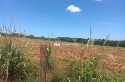 Área à venda, 96800 m² por r$ 1.800.000,00 - condomínio renascer - são josé do rio preto/sp