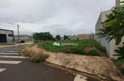 Terreno à venda, 303 m² por r$ 320.000,00 - villa cassini - são josé do rio preto/sp