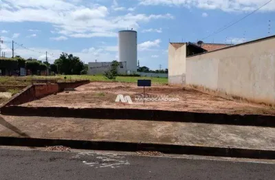 Terreno à venda, 255 m² por r$ 150.000,00 - residencial machado i - são josé do rio preto/sp