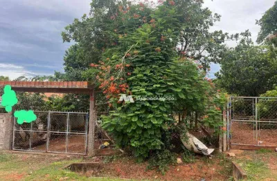 Chácara com 4 dormitórios à venda, 1000 m² por r$ 315.000,00 - estância são manoel (zona rural) - são josé do rio preto/sp
