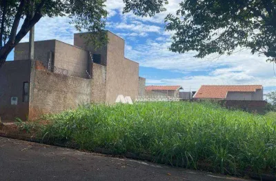 Terreno à venda, 200 m² por r$ 120.000,00 - parque vila nobre - são josé do rio preto/sp