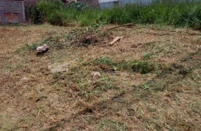 Terreno à venda, 200 m² por r$ 95.000,00 - são thomas - são josé do rio preto/sp
