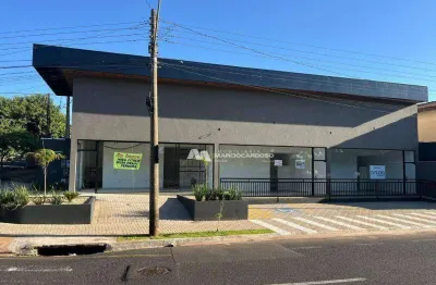 Salão para alugar, 62 m² por r$ 4.401,00/mês - jardim primavera - são josé do rio preto/sp