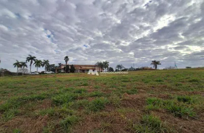 Terreno à venda, 420 m² por r$ 110.000 - centro - potirendaba/sp
