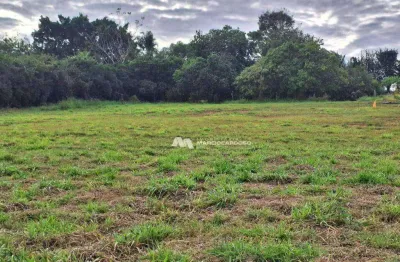 Terreno à venda, 2893 m² por r$ 300.000 - centro - potirendaba/sp