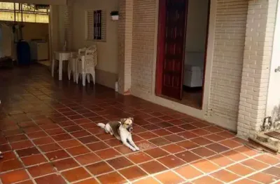 Casa com 3 quartos à venda na rua ribeirão preto, jardim do trevo, campinas, 178 m2 por r$ 550.000