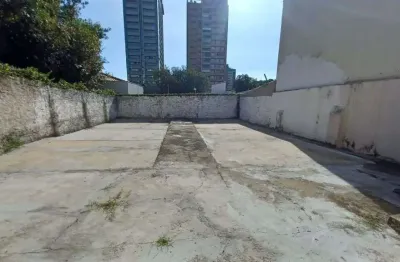 Casa à venda no Cambuí, Campinas 