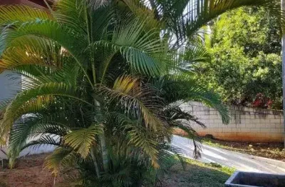 Casa em condomínio fechado com 3 quartos para alugar na chácara são rafael, campinas , 235 m2 por r$ 3.800