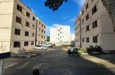 Apartamento com 2 quartos à venda no jardim ipiranga, campinas , 55 m2 por r$ 179.900