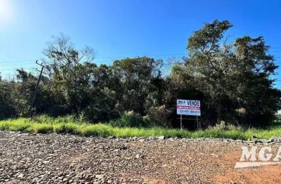 Área à venda, 9494 m² por r$ 5.500.000,00 - cataratas - foz do iguaçu/pr
