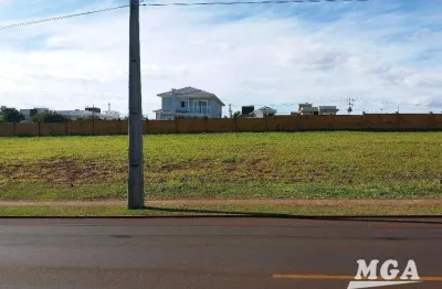 Terreno comercial à venda, 558 m² por r$ 390.000 - jardim ipê - foz do iguaçu/pr