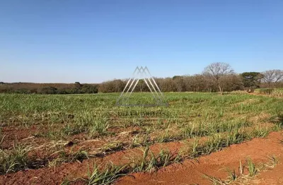 Chácara / sítio com 1 quarto à venda na Rodovia Vicinal João Severo, S/N, Centro, Poloni, 433422 m2 por R$ 4.350.000