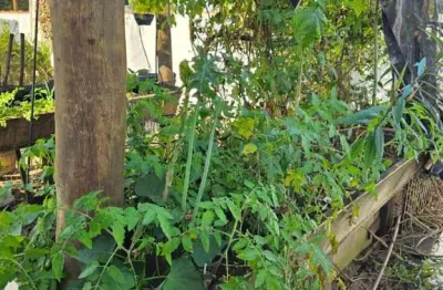 Edícula para venda em caraguatatuba, massagaçu, 1 dormitório, 1 suíte, 1 banheiro