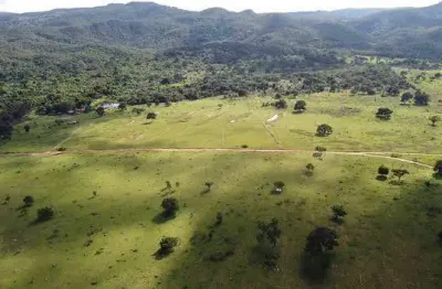 Fazenda com 1 sala à venda na Zona Rural, Ivolândia 
