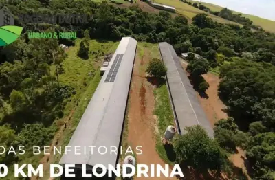 Chácara / sítio à venda na Zona Rural, Tamarana 