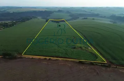 Terreno à venda na Estrada Perobinha, Jardim Primavera, Londrina