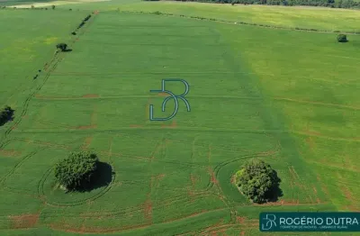 Terreno à venda na Av: Saul Elkind, Jardim Flores do Campo, Londrina
