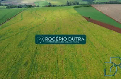 Chácara / sítio à venda na Rua dos Agricultores, Recanto dos Pinheiros, Cambé
