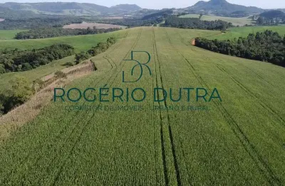 Fazenda à venda na Zona Rural, Tamarana 