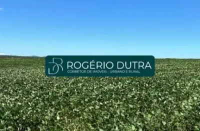 Fazenda à venda na Sítio D`abadia, Zona Rural, Formoso