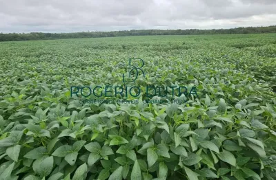 Fazenda à venda na Zona Rural, Zona Rural, Palmeirante