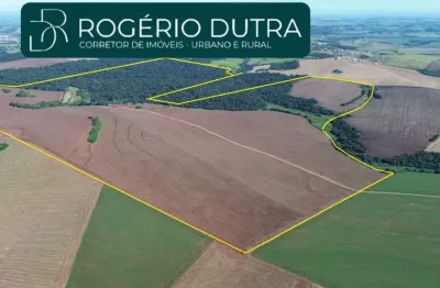 Fazenda à venda na 50 Km De Londrina, Área Rural de Londrina, Londrina