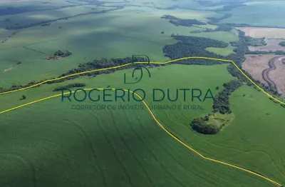 Fazenda à venda na Zona Rural, Zona Rural, Pitangueiras