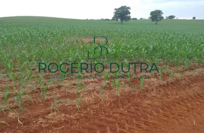 Fazenda à venda na Zona Rural, Zona Rural, Sertaneja