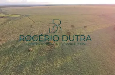 Fazenda à venda na Avenida Higienópolis, Área Rural de Londrina, Londrina