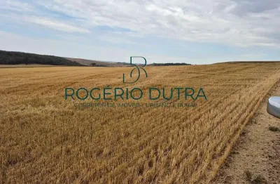 Fazenda à venda na Avenida Higienópolis, Área Rural de Londrina, Londrina