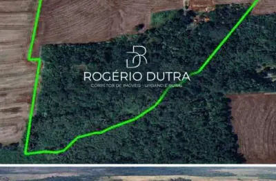 Chácara / sítio à venda na Rodovia Pr-445, S/n, Zona Rural, Bela Vista do Paraíso