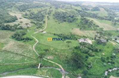 Chácara / sítio à venda em Taquaras, Rancho Queimado 