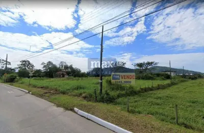 Terreno com 15.000 metros quadrados próximo a br 101, salseiros.