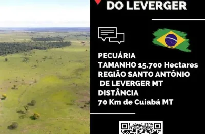 Fazenda para venda em santo antônio do leverger, rural