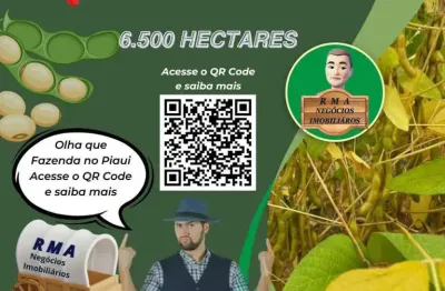 Fazenda à venda na Zona Rural, Altos 