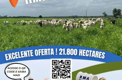 Fazenda para venda em itinga do maranhão, área rural