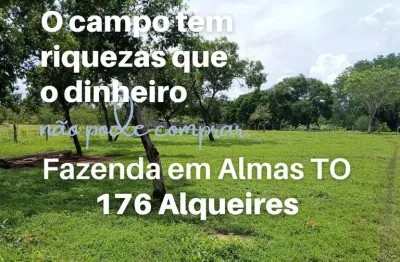 Fazenda à venda na Zona Rural, Almas 