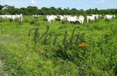 Fazenda à venda na rural, 12323, centro, são romão, 5000 m2 por r$ 26.000.000