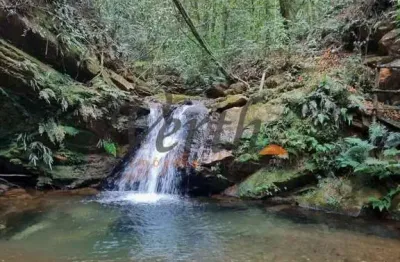 Fazenda à venda na rural, 1231, centro, rio acima, 59000 m2 por r$ 2.000.000