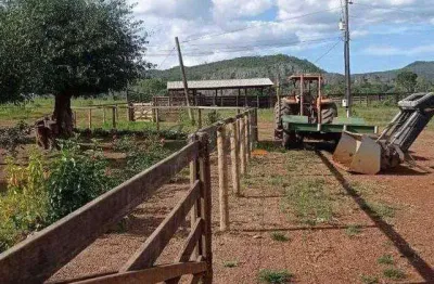 Fazenda à venda na rural, sn, centro, natalândia, 1198 m2 por r$ 21.500.000