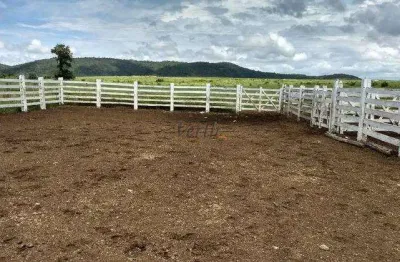 Fazenda à venda na rural, sn, centro, manga, 2320 m2 por r$ 32.000.000