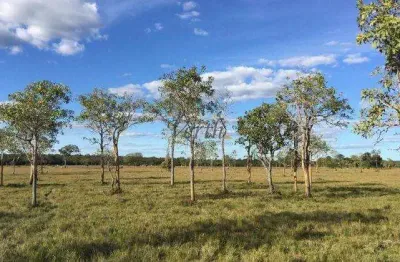 Fazenda à venda na rural, sn, centro, chapada gaúcha, 1016 m2 por r$ 11.000.000