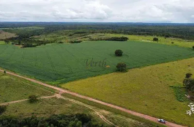 Fazenda à venda na rural, 12323, centro, pilão arcado, 93474 m2 por r$ 120.000.000