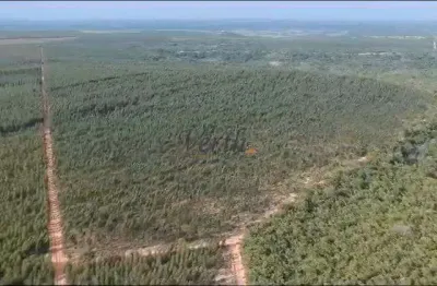 Fazenda à venda na rural, 00, centro, joão pinheiro, 2320 m2 por r$ 20.000.000